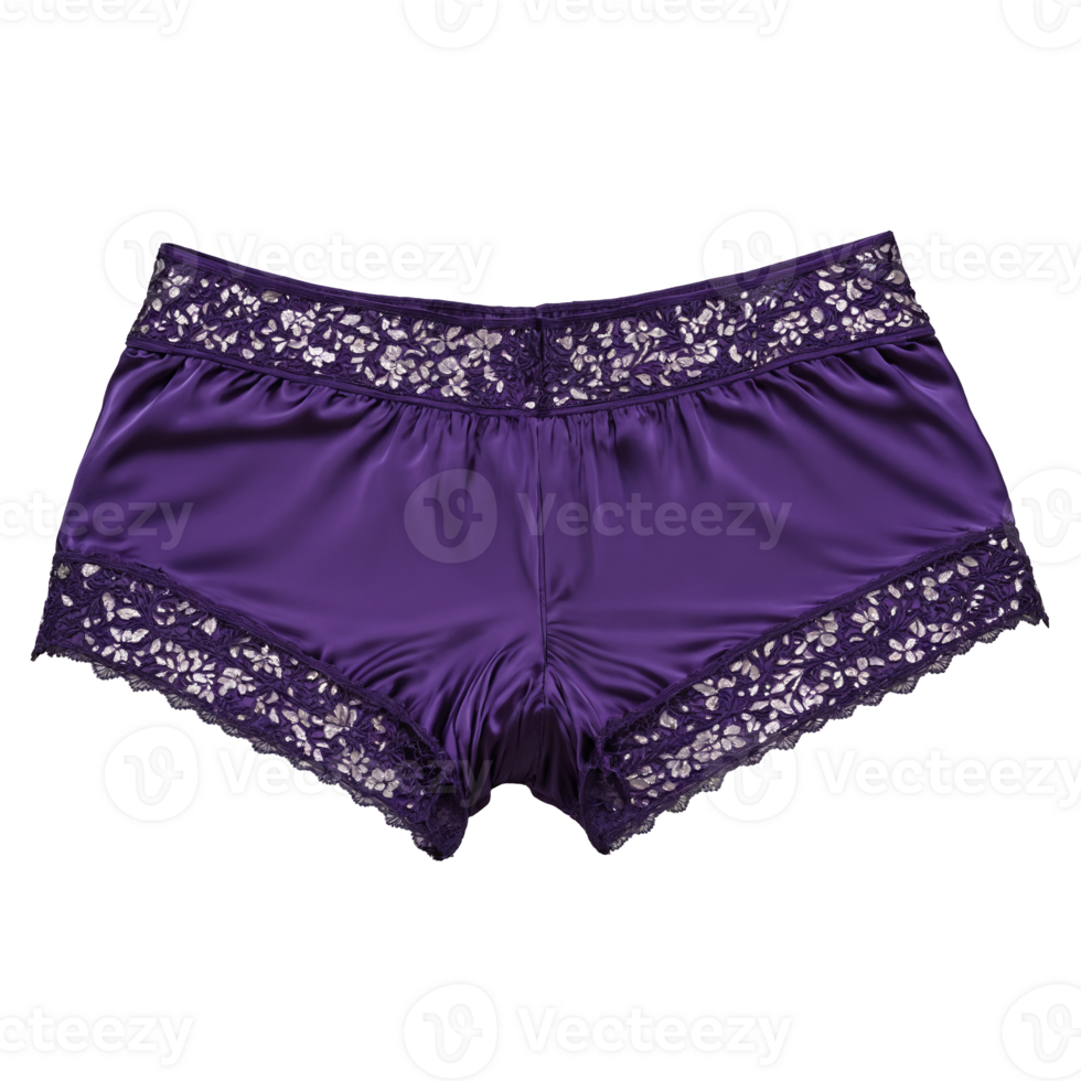 Purple Silk Boyshorts with Cut Outs A pair of purple silk boyshorts with cut outs png
