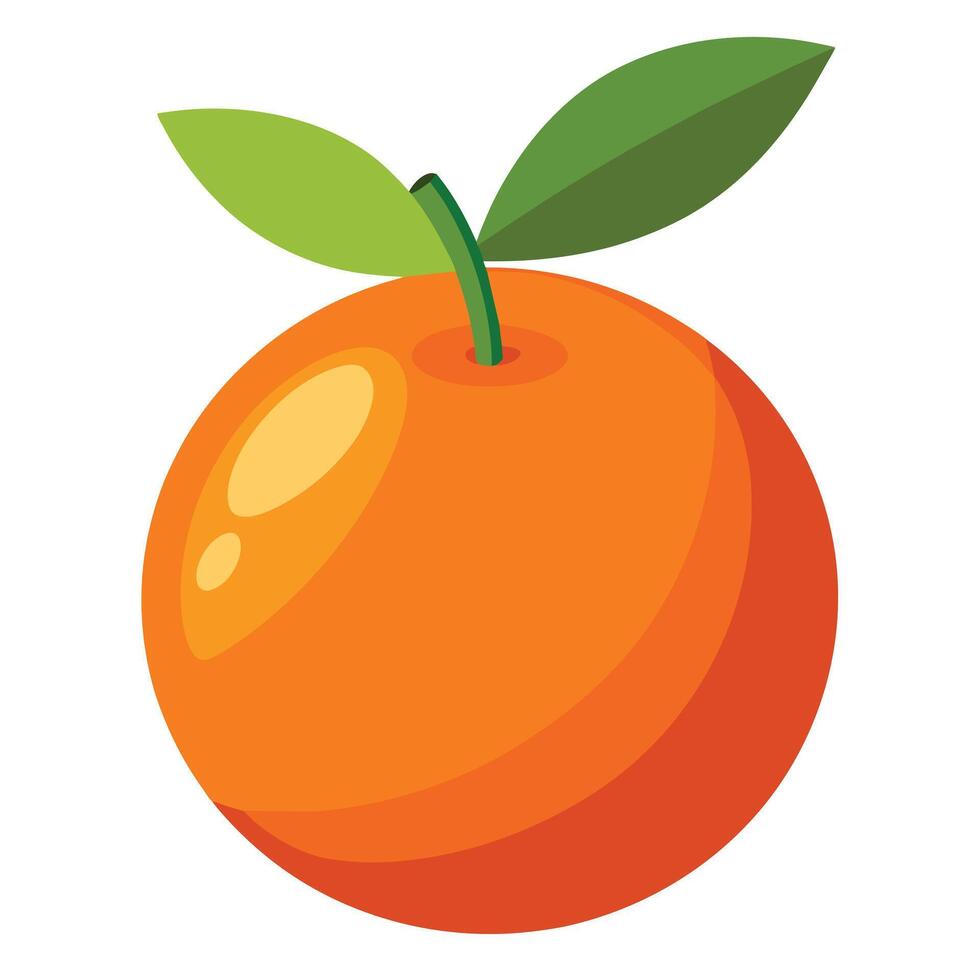 minimal Orange Illustration, fruits illustration vector