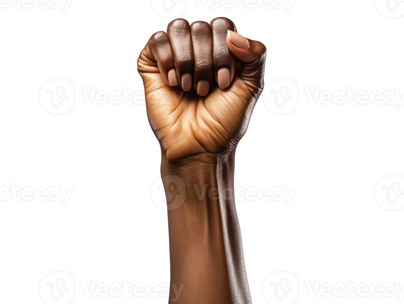 Female hand with raised fist png