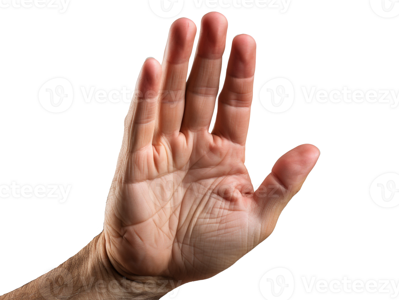 Male hand making stop sign png