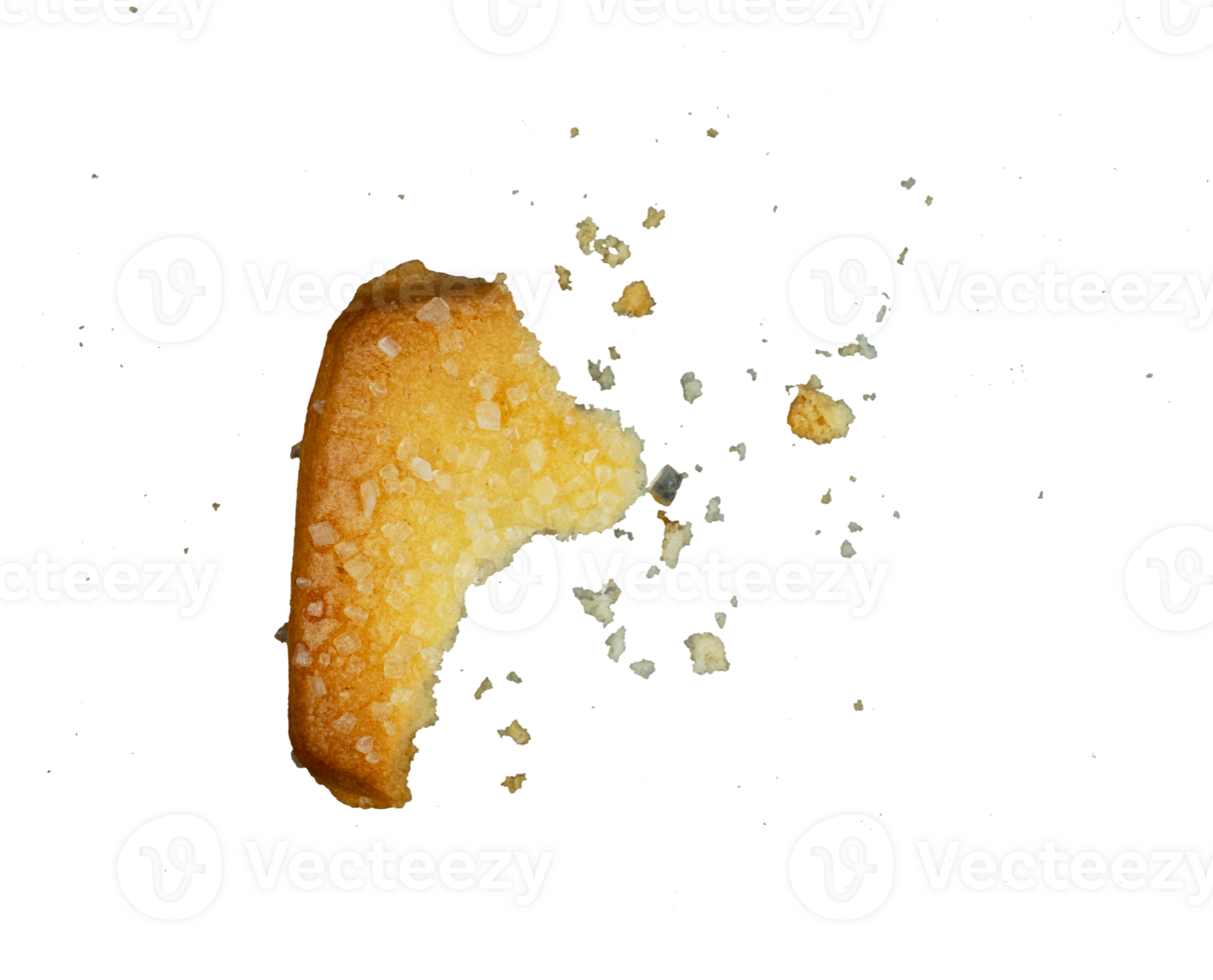piece of cookie with crumbs isolated png