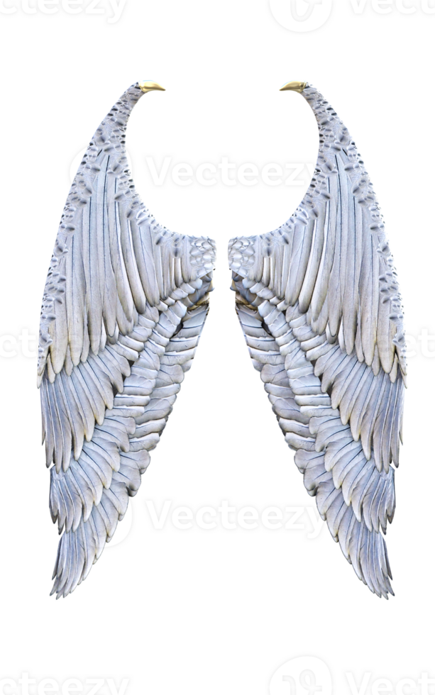 3d Illustration Angel wings, white wing plumage isolated. png
