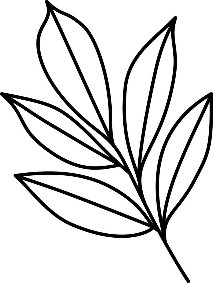 Decorated leaves branches outline. Illustrated leaves branches icon line art graphic element. vector