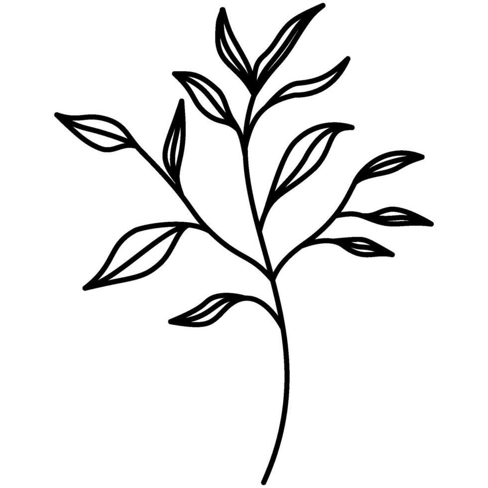 Decorative illustrated outlined branches and leaves line art illustration vector