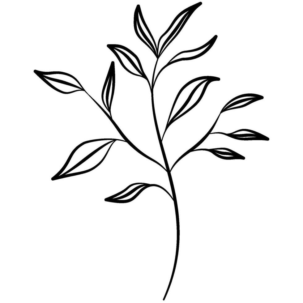 Decorative illustrated outlined branches and leaves line art illustration vector