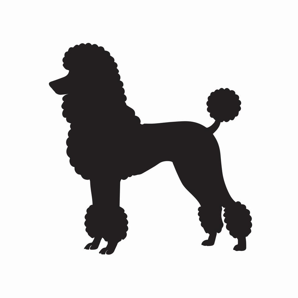 Dog Side view silhouette - Poodle Dog silhouette - black dog illustration vector