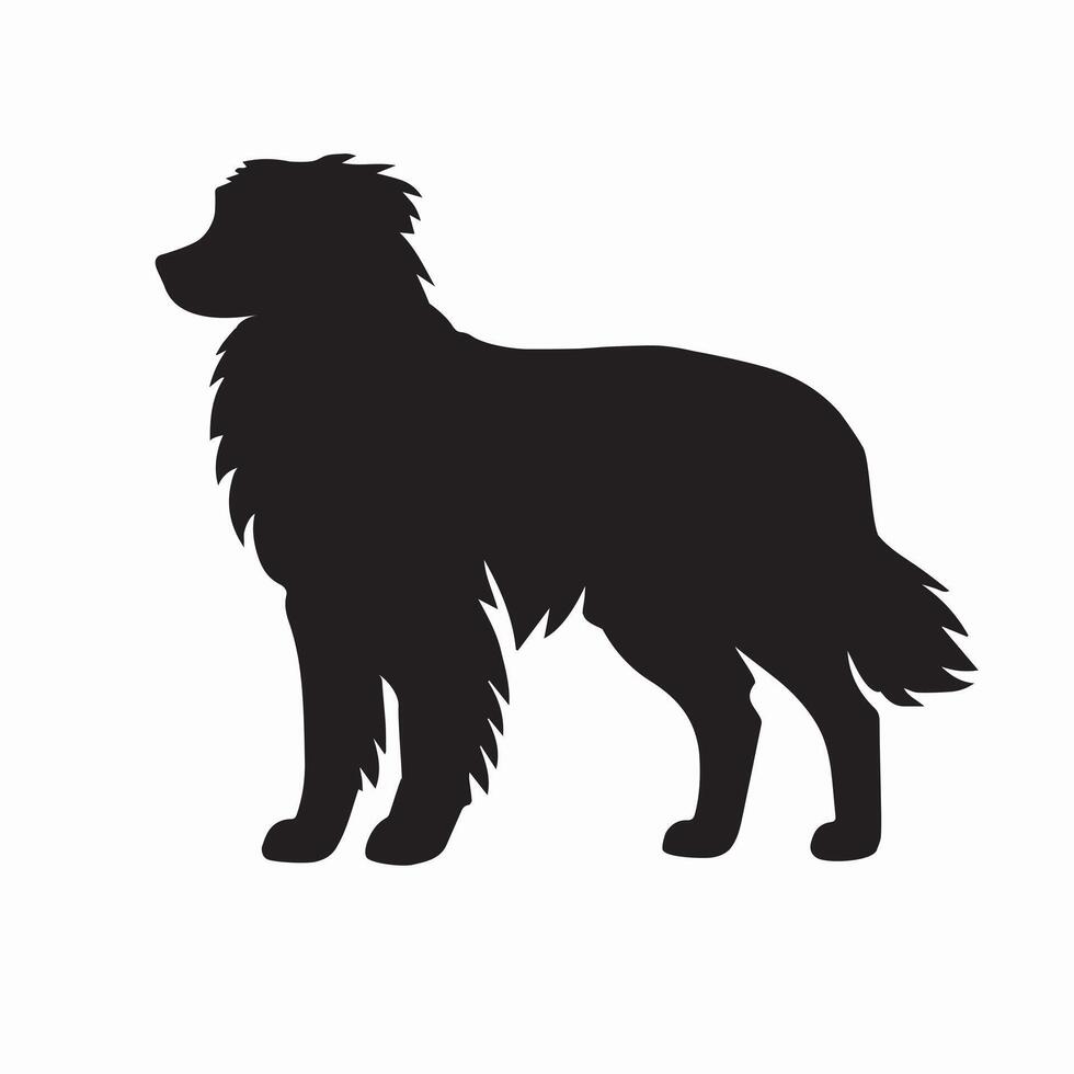 Dog Side view silhouette - Australian Shepherd Dog silhouette - black dog illustration vector