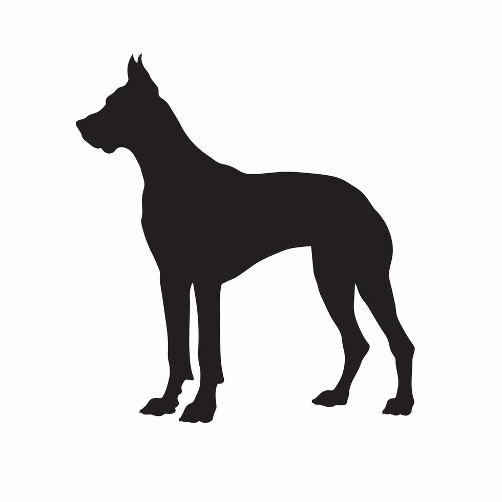 Dog Side view silhouette - Great Dane Dog silhouette - black dog illustration vector