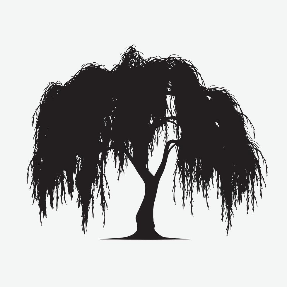 black silhouette of willow tree isolated white background vector