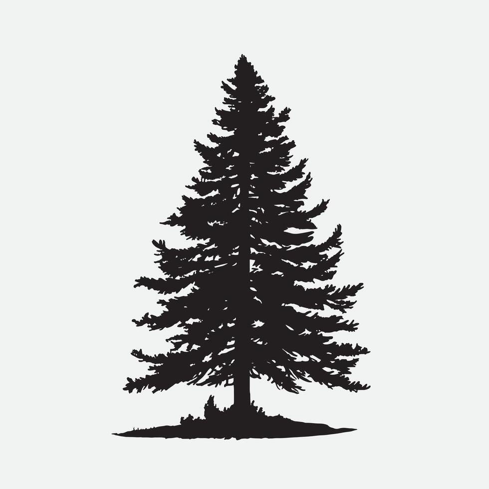 black silhouette of a alpine balsam tree in white background vector