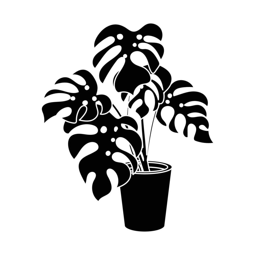 Monstera flower in a pot as an interior or home garden decoration vector