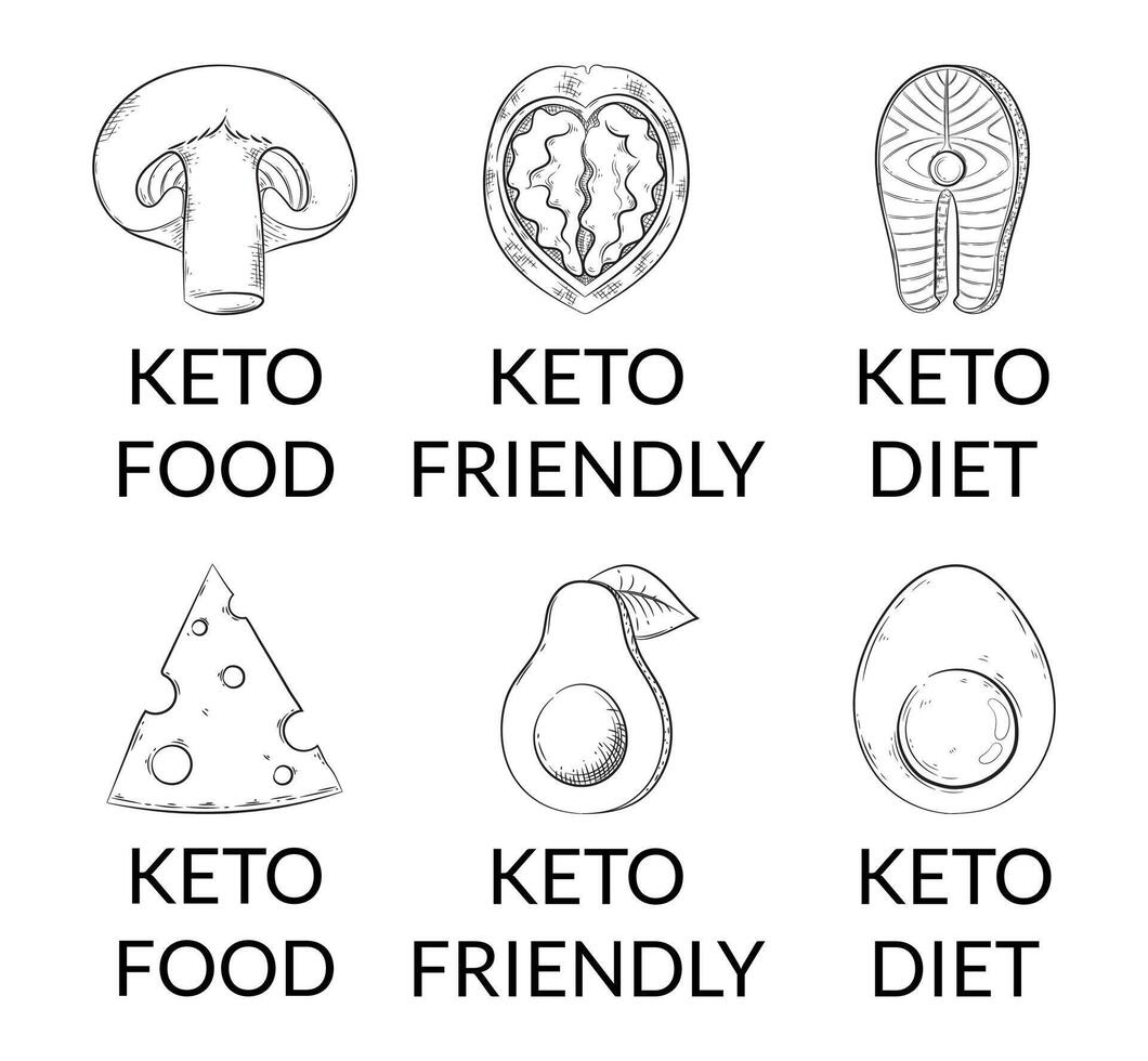 illustration of a friendly keto icons with avocado, egg, walnut. Hand-drawn style cheese, fish and mushroom. For keto diet advertising or blog, or lipid-friendly packaging vector