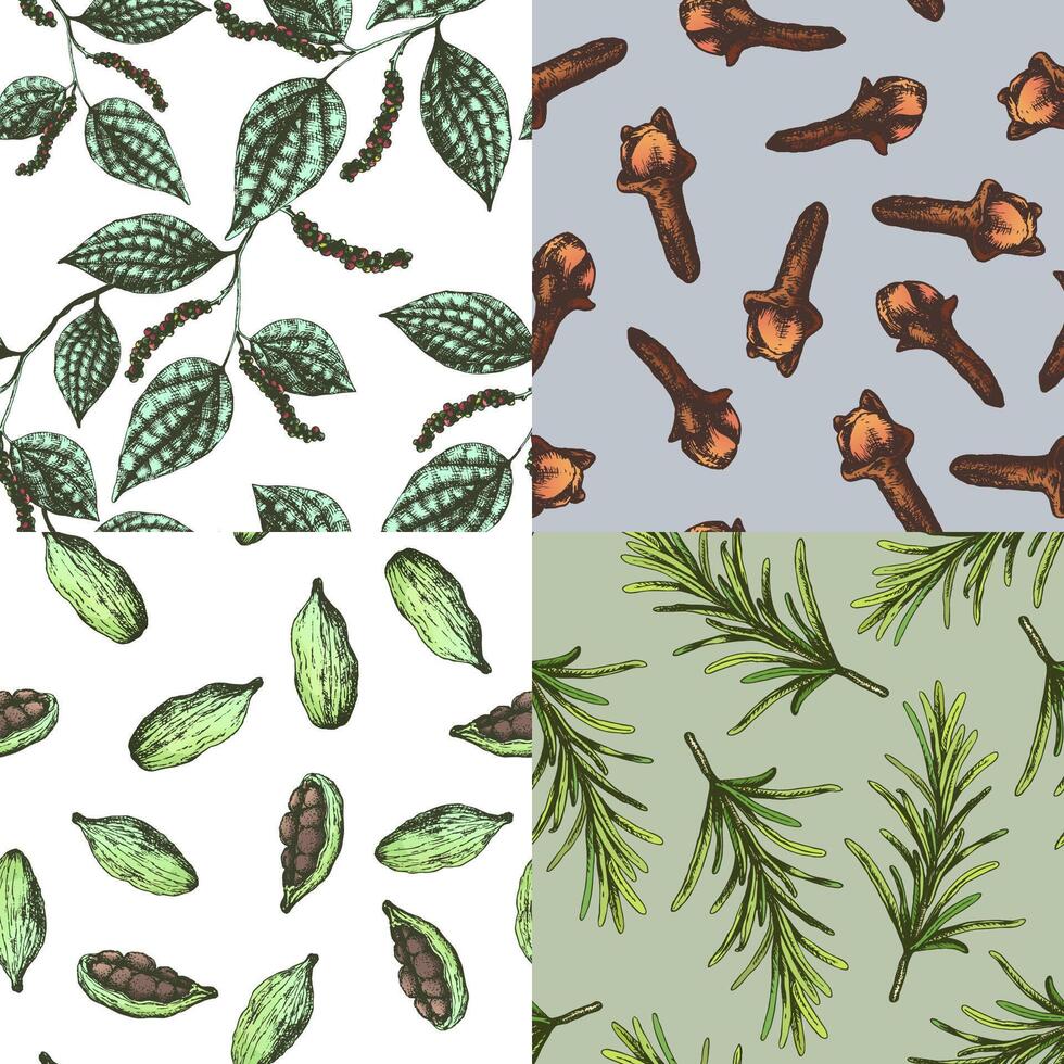 spices set seamless pattern with hand drawn rosemary, clove, cordamom, peppercorn on green background. Botanical floral pattern with green leaves. Herbal ingredients for kitchen or package design vector