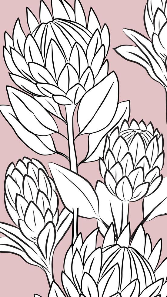 African protea buds on pink, background for stationery, flower bookmark for planner vector