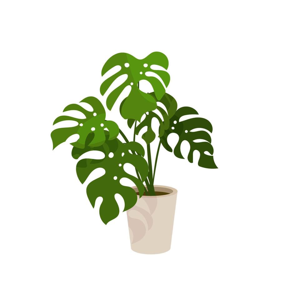 illustration of a flowerpot with monstera in cartoon style. Tropic flowers for home or interior Isolated on a white background. vector