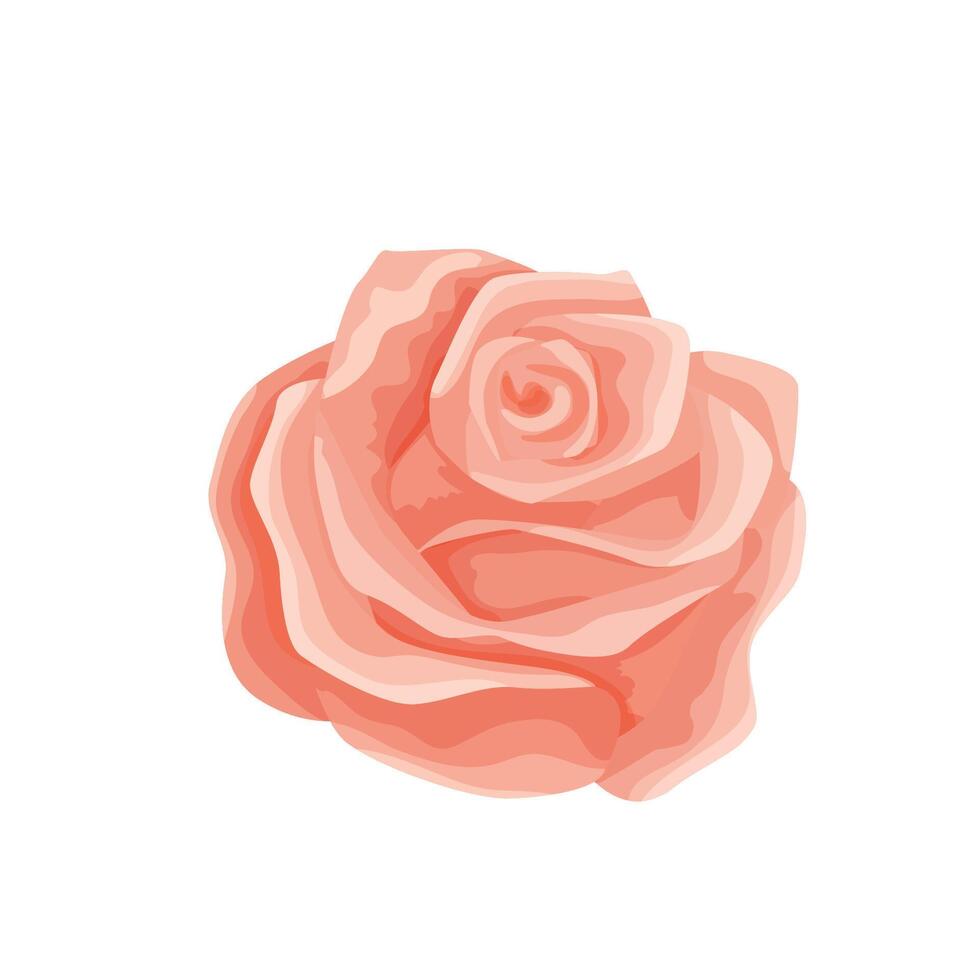 Single gentle pink rose bud. Flower for a website or a shop of flowers and plants, shabby chic style, decoration of cards and invitations. vector