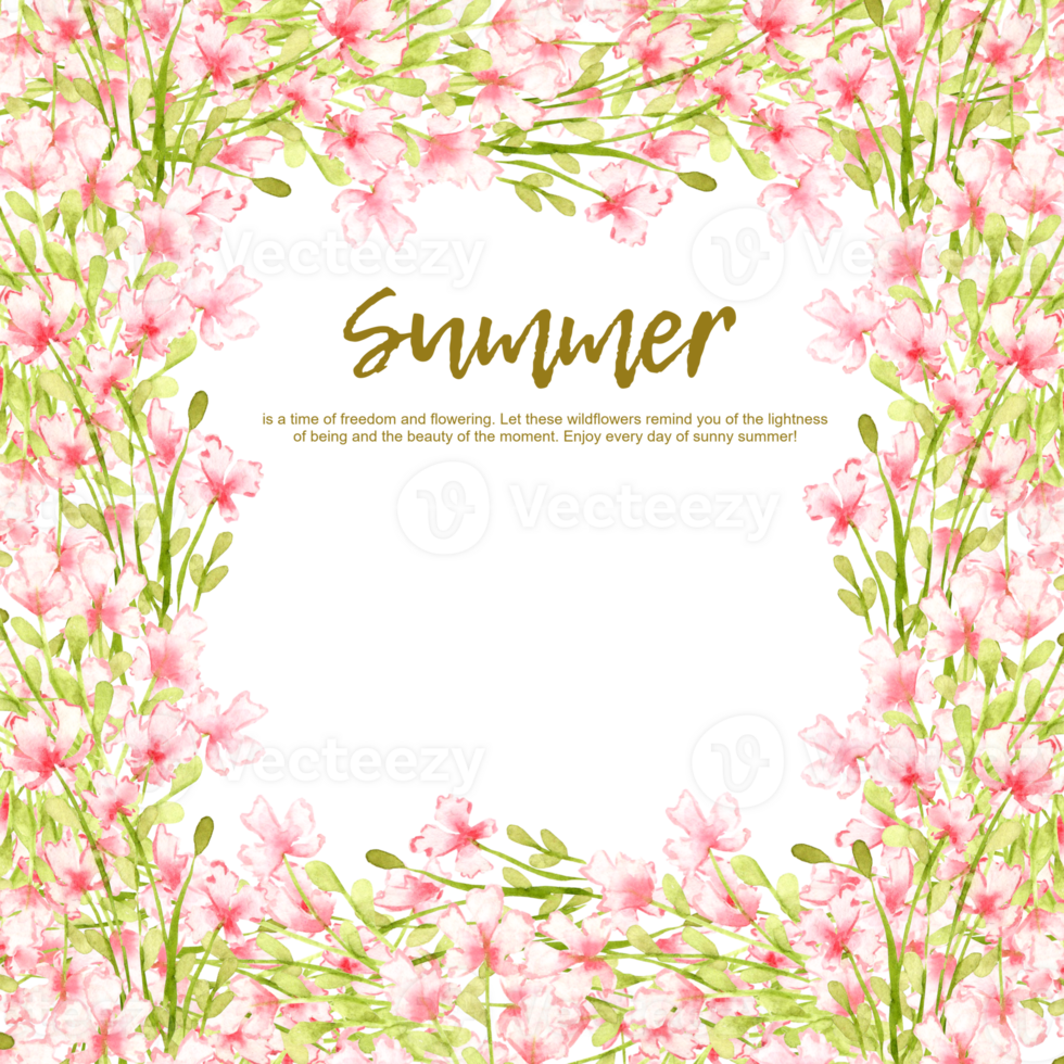 Pink flowers, small wildflowers, watercolor illustration in a square frame with text. Summer meadow with floral print and wildflowers. Isolated from the background. For designing cards, invitations, png
