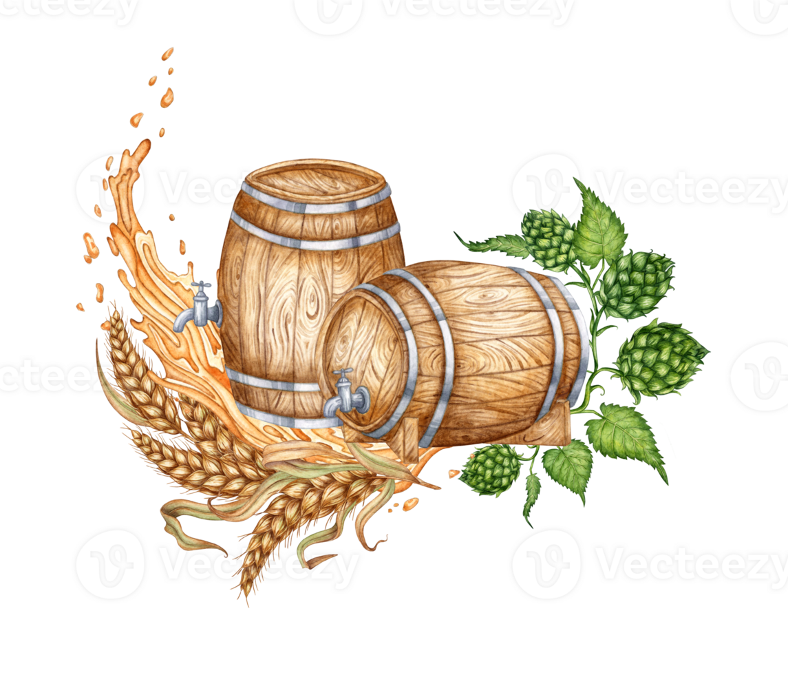 Two wooden barrels with tap, hops and ears of wheat and splashes for beer, wine, cognac, rum, brandy and other alcoholic drinks watercolor illustration. Isolated from the background. Suitable design png