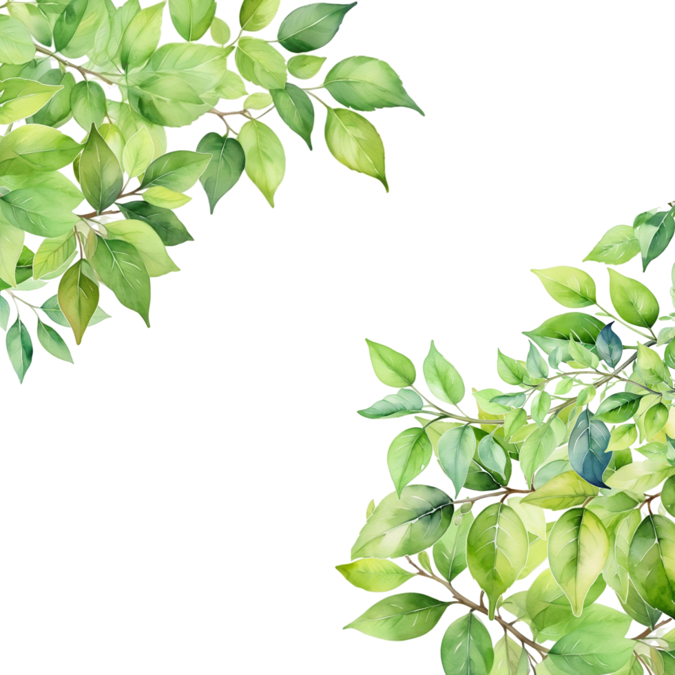 Leaves branch frame background, foliage isolated border png