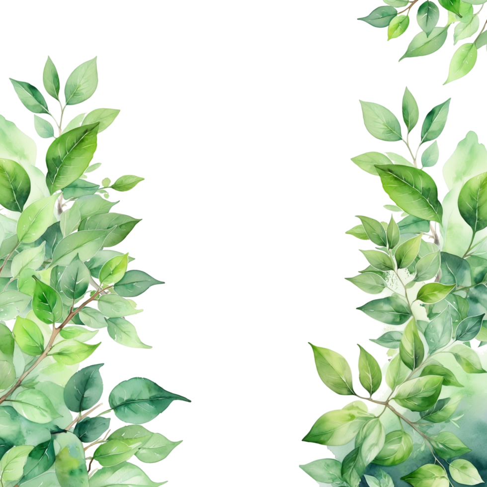 Leaves frame isolated border png