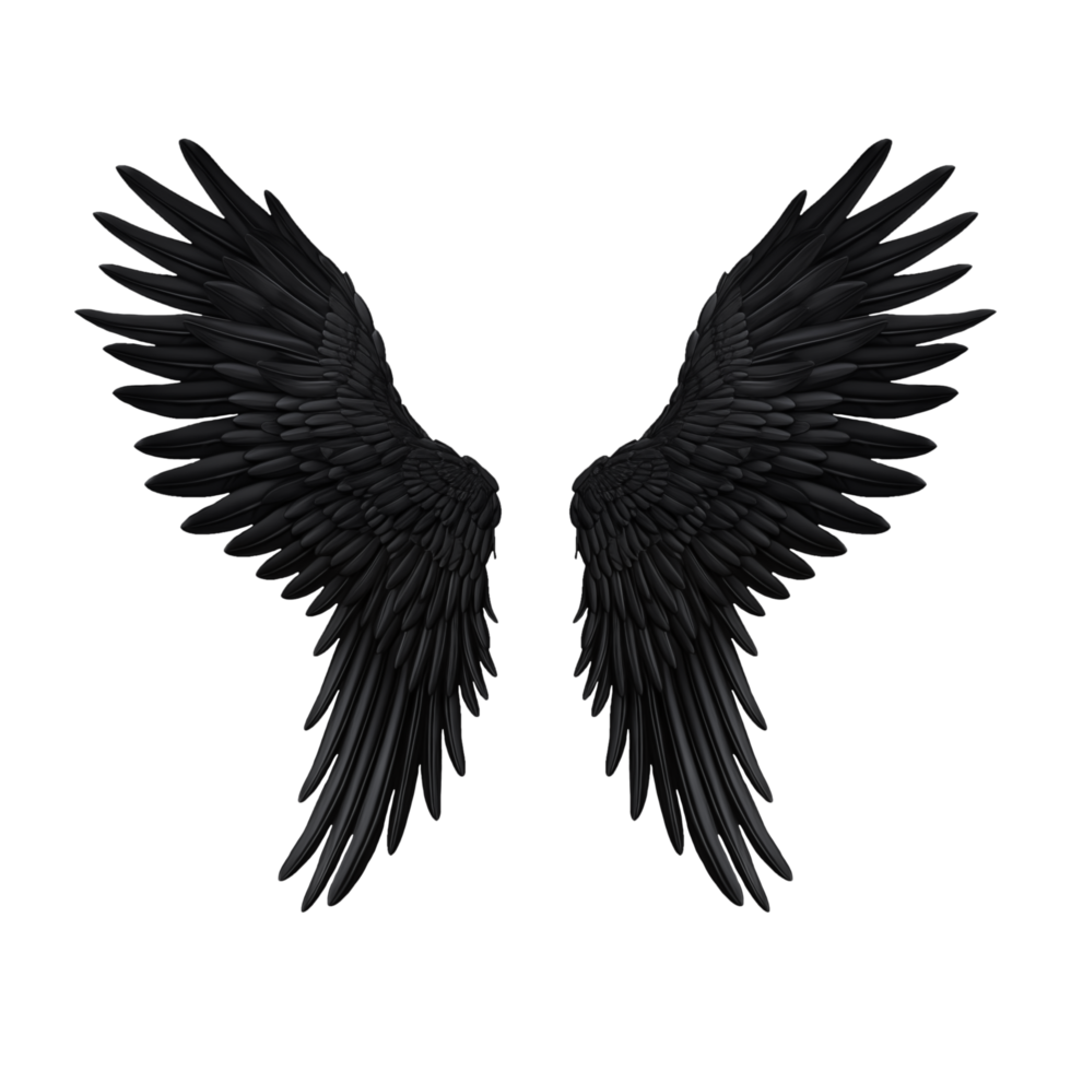 Black angel wings png