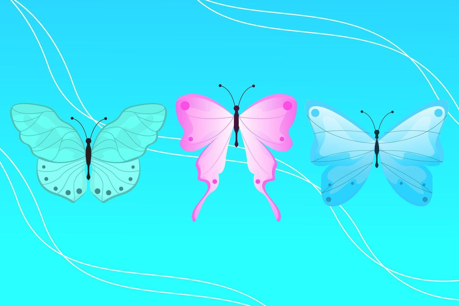 butterfly with various colors vector