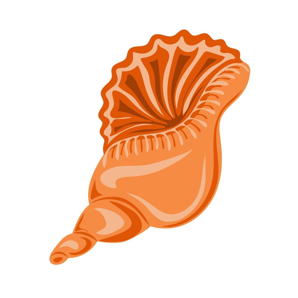 Hand drawn seashell. Shellfish. Marine dwellers vector