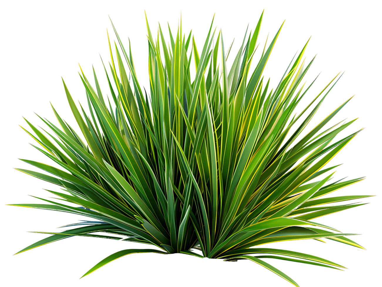 Agave rigorosa cespuglio su trasparente sfondo png