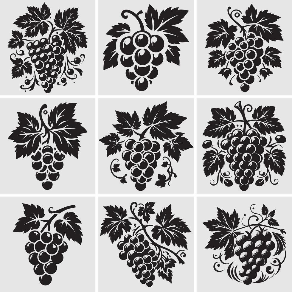 Set of art illustration Grapes logo featuring grapes with leaves on a tree vector
