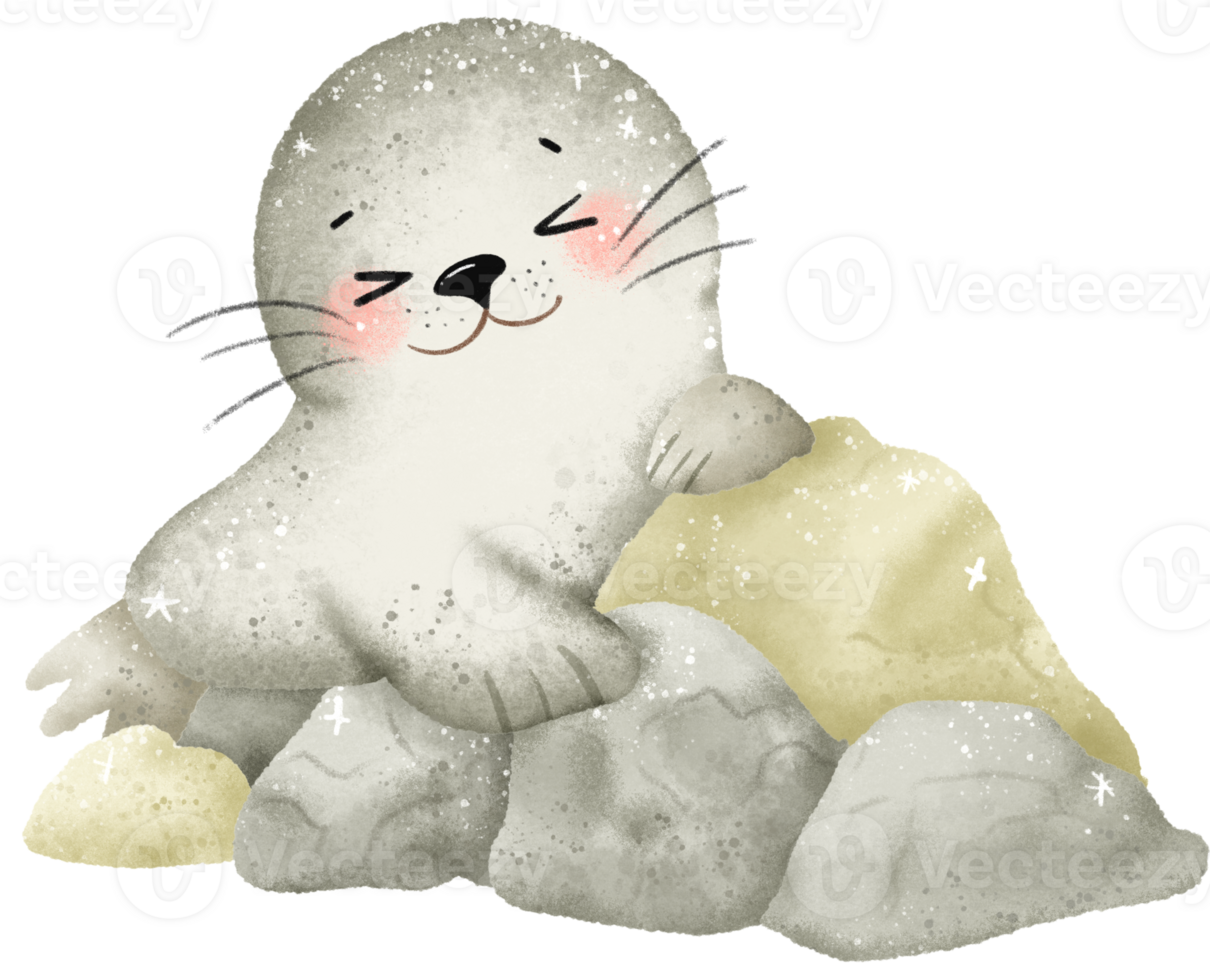 Watercolor Hand drawn illustration underwater animals Cute seal sitting on rocks marine wild life children clip art for textile, decoration, posters, inviation, greeting cards png