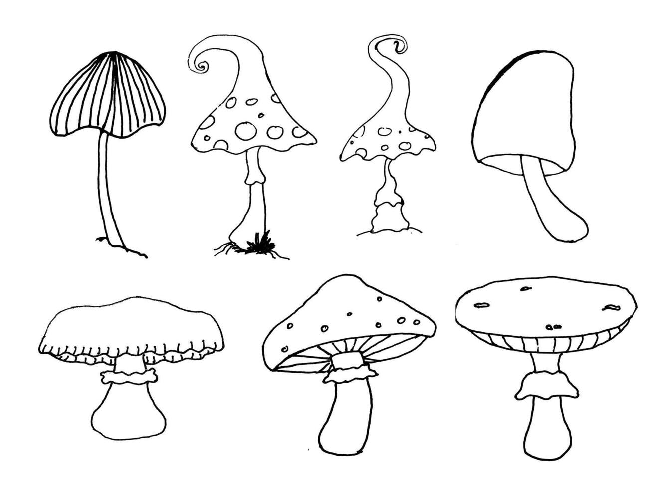 mushroom doodle hand drawn vector