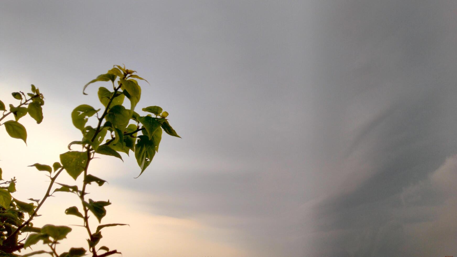 Beautiful view of field against cloudy sky photo