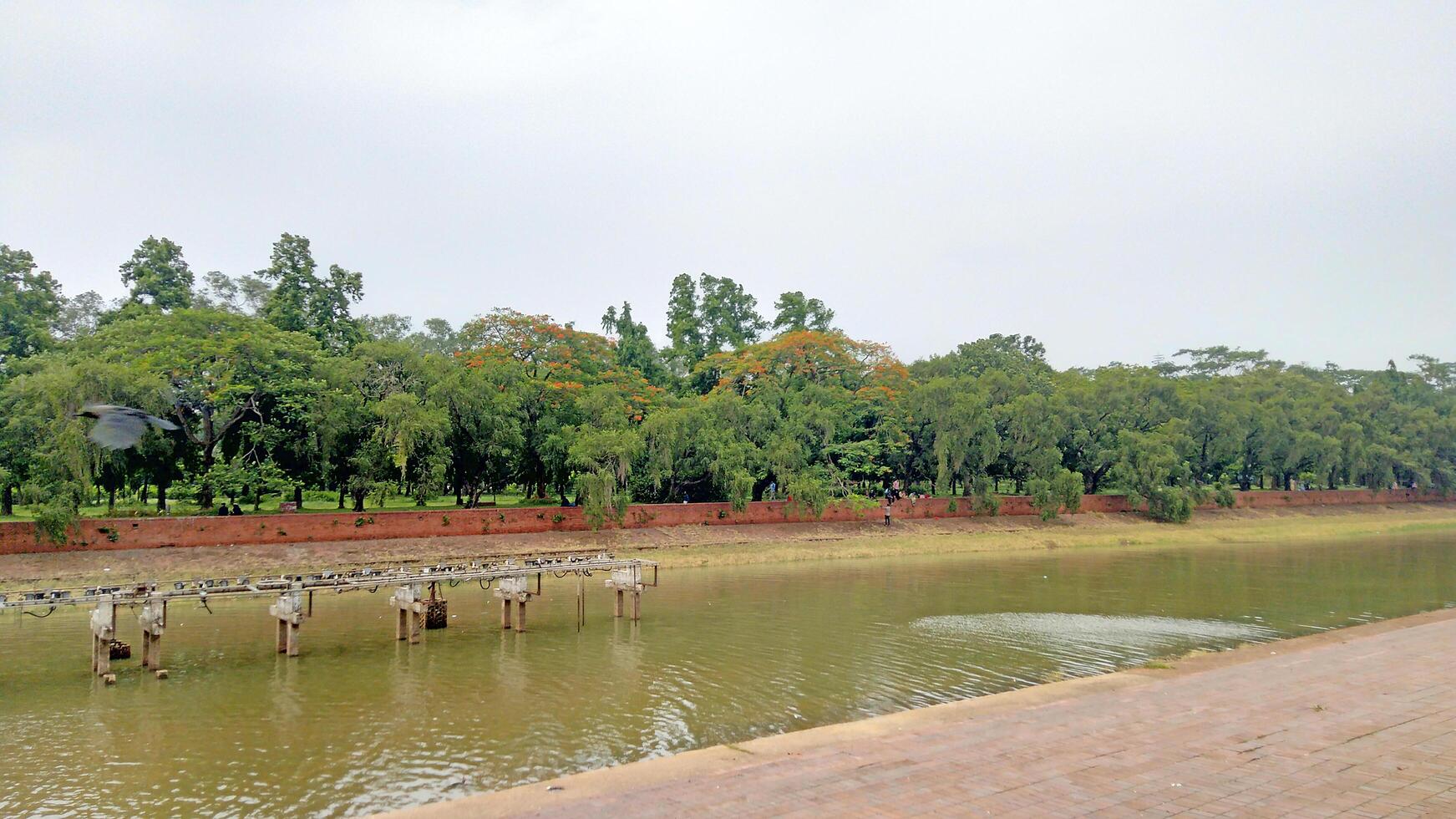 Beautiful the green scenery reflecting in the wonderful Lake photo