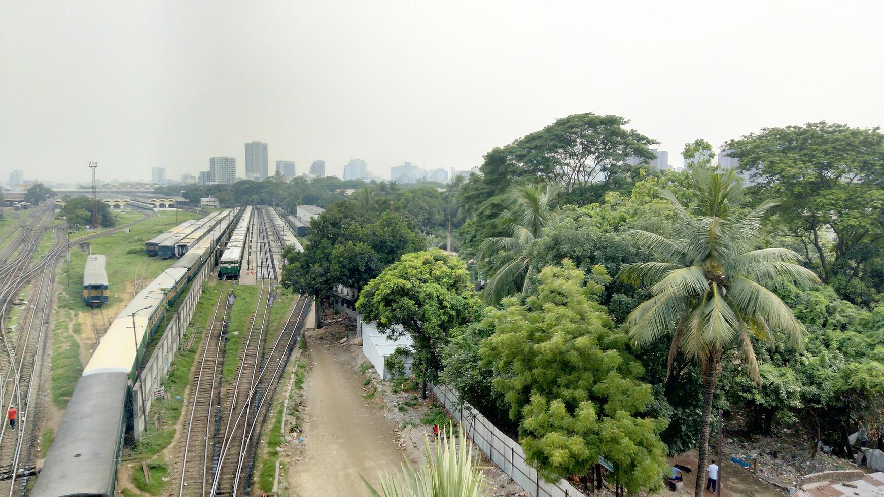 Surface level of railway tracks along green plants photo