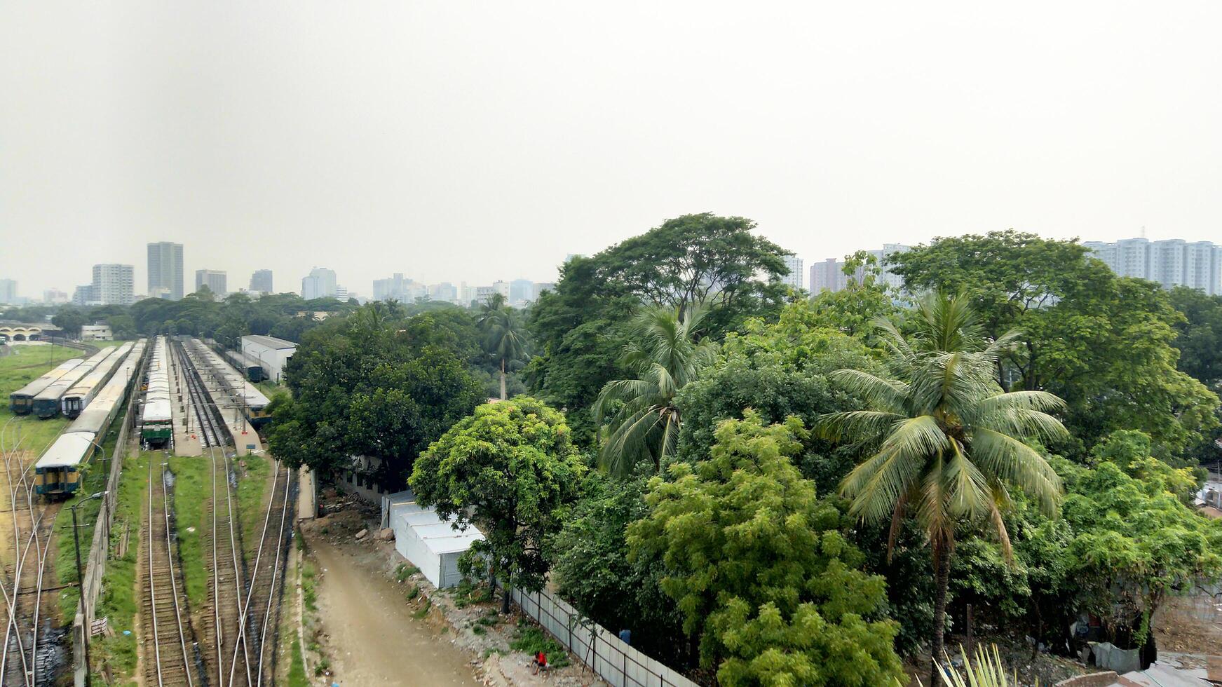 Surface level of railway tracks along green plants photo