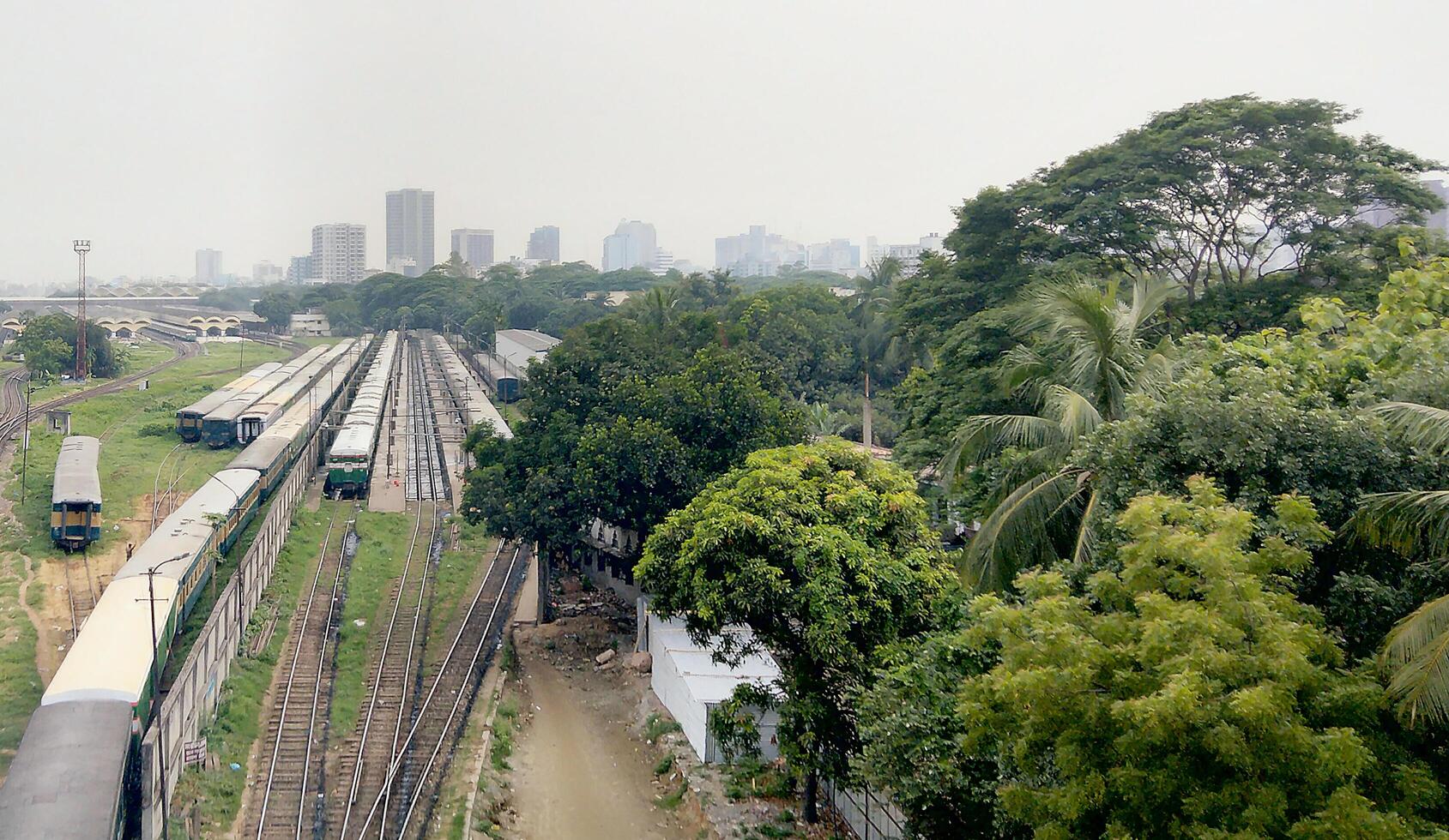 Surface level of railway tracks along green plants photo