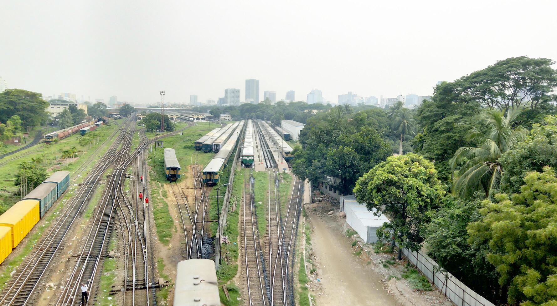 Surface level of railway tracks along green plants photo
