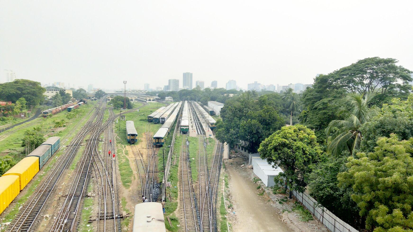 Surface level of railway tracks along green plants photo