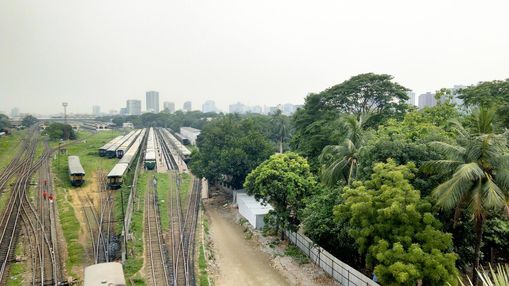 Surface level of railway tracks along green plants photo