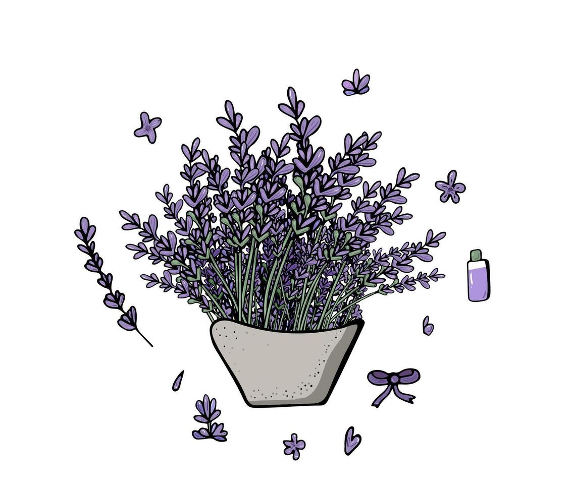 Lavender flowers set composition in doodle style. vector