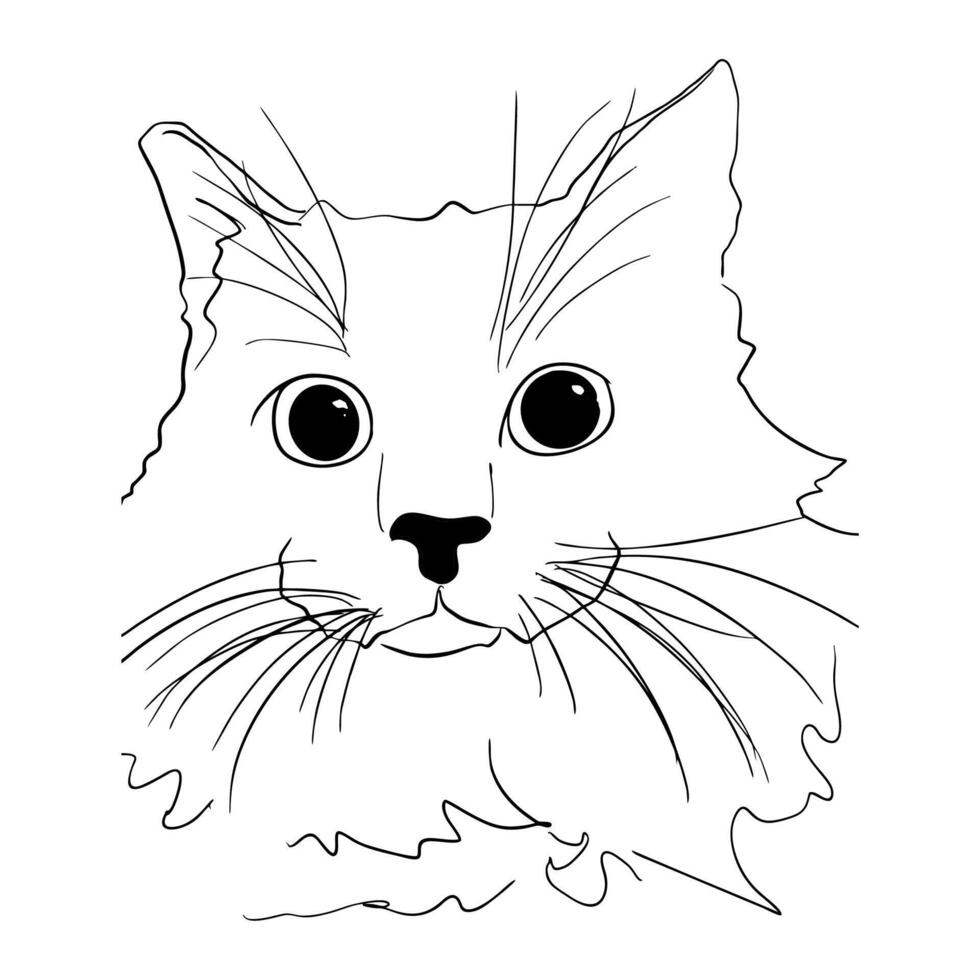 a cat with a mustache vector