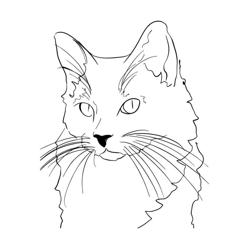 cat is cute vector