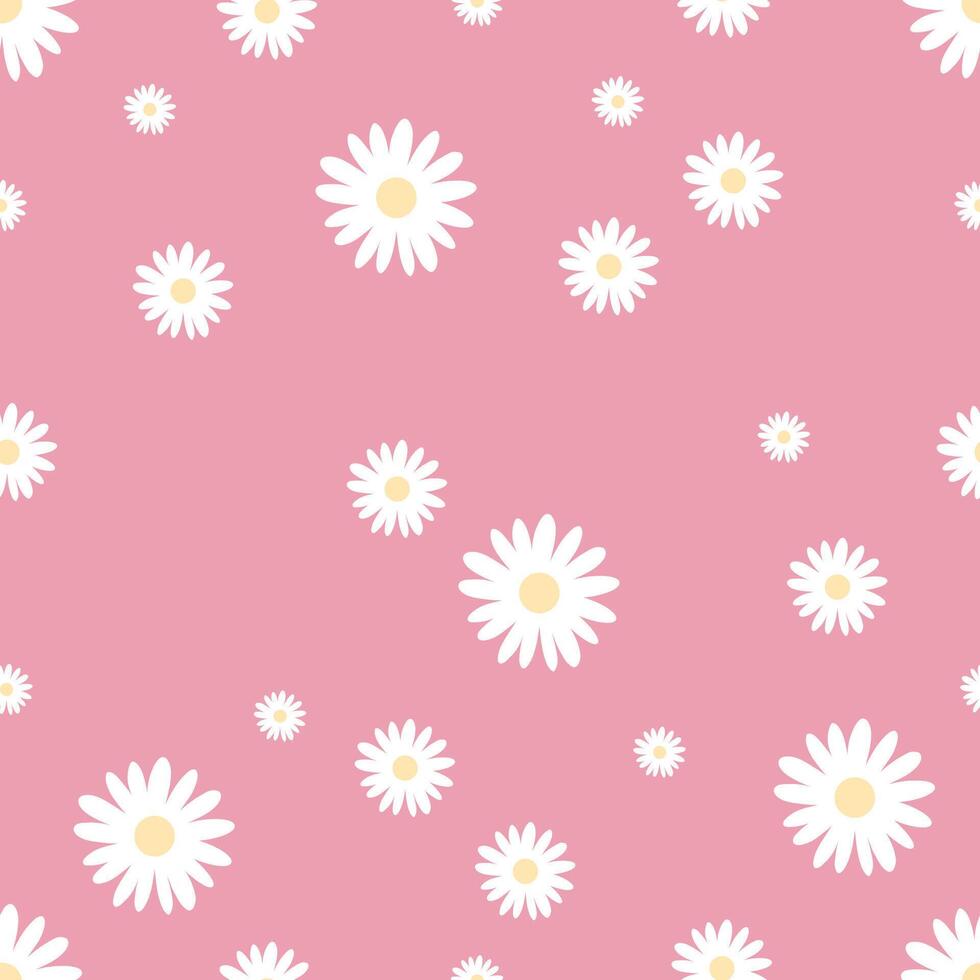 Seamless pattern with white daisies on pink background. Chamomile flowers. Hand drawn illustration vector