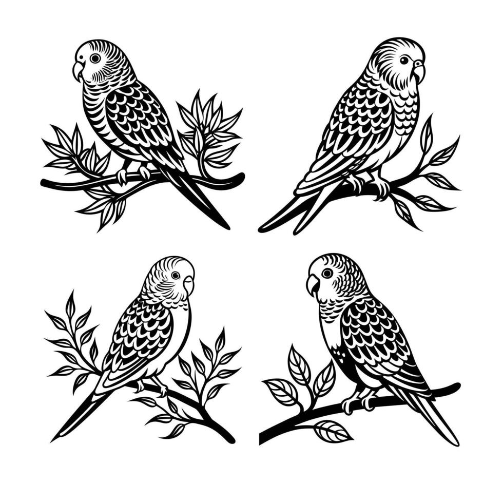 Budgerigar Silhouette Sitting on Tree Branch Art - Perfect for Nature and Bird Illustrations vector