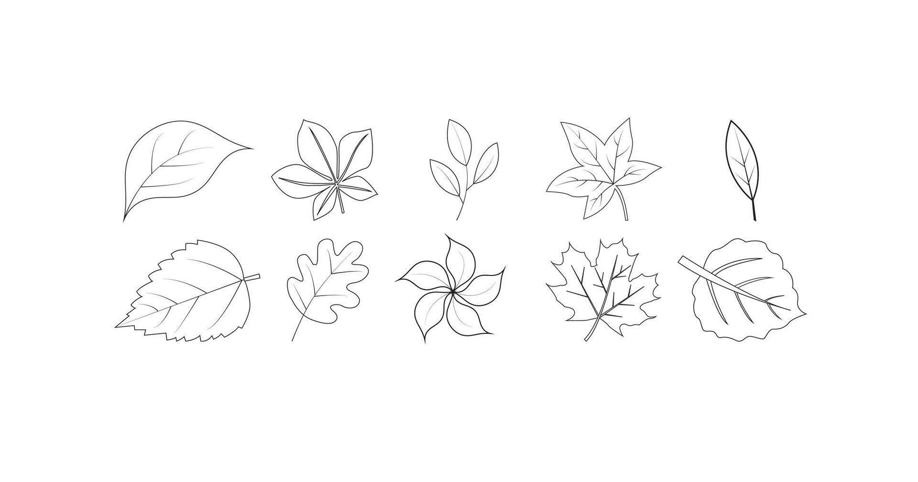 line set of leaf icons, Maple leaf, leaves, herbs, chestnut, acorn in sketch style, Hand drawn illustration isolated on white background. vector