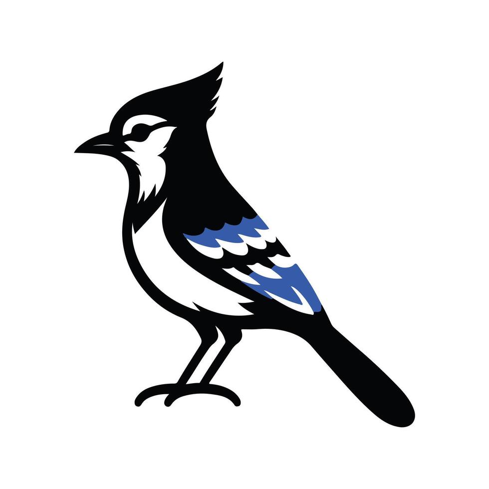 Elegant Blue Jay Logo Design with Stylized Feather Details. vector
