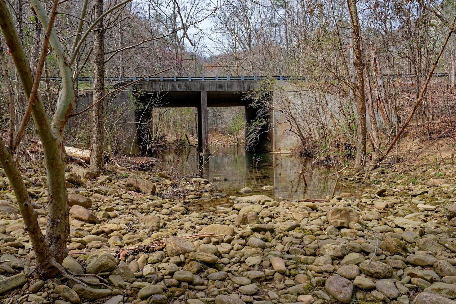A creek under a viaduct photo