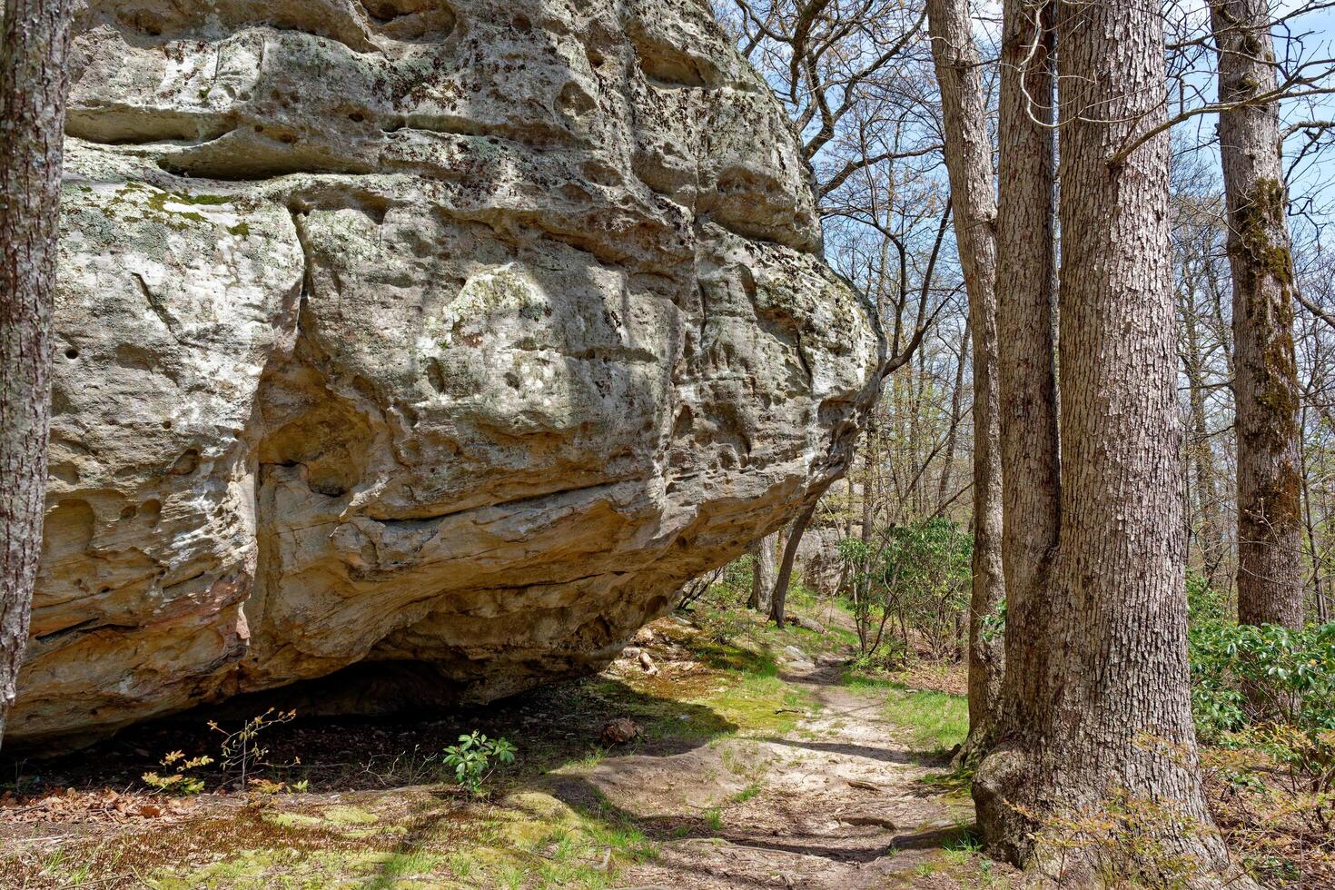 Trail alongside the huge boulders photo