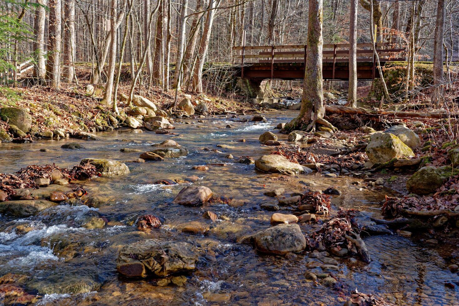 Creek going under a bridge photo