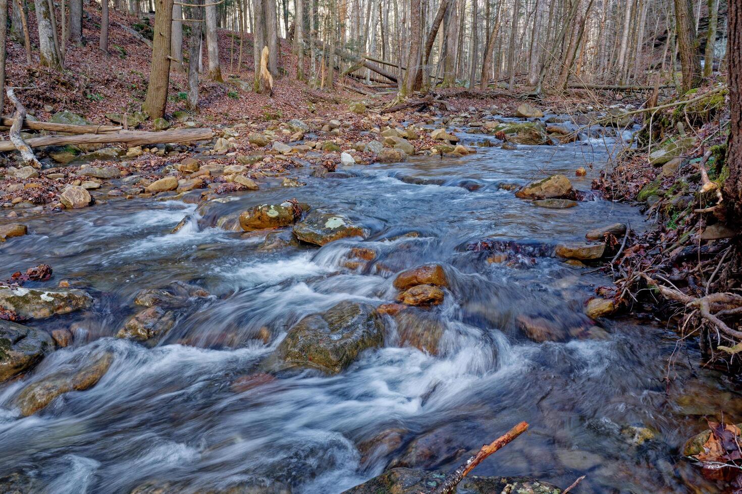 Fast flowing stream in a forest photo